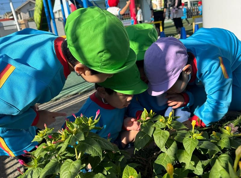 Children looking closely at flowers in the playground