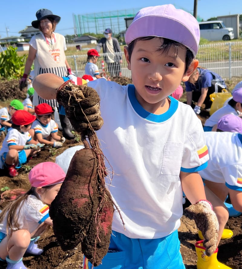 畑で掘ったさつまいもを見せてくれる園児